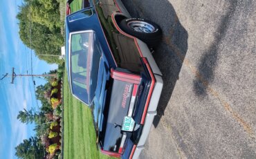 Oldsmobile-Cutlass-supreme-hurstolds-coupe-1983-Black-Red-11
