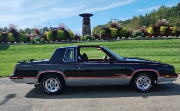 Oldsmobile-Cutlass-supreme-hurstolds-coupe-1983-Black-Red