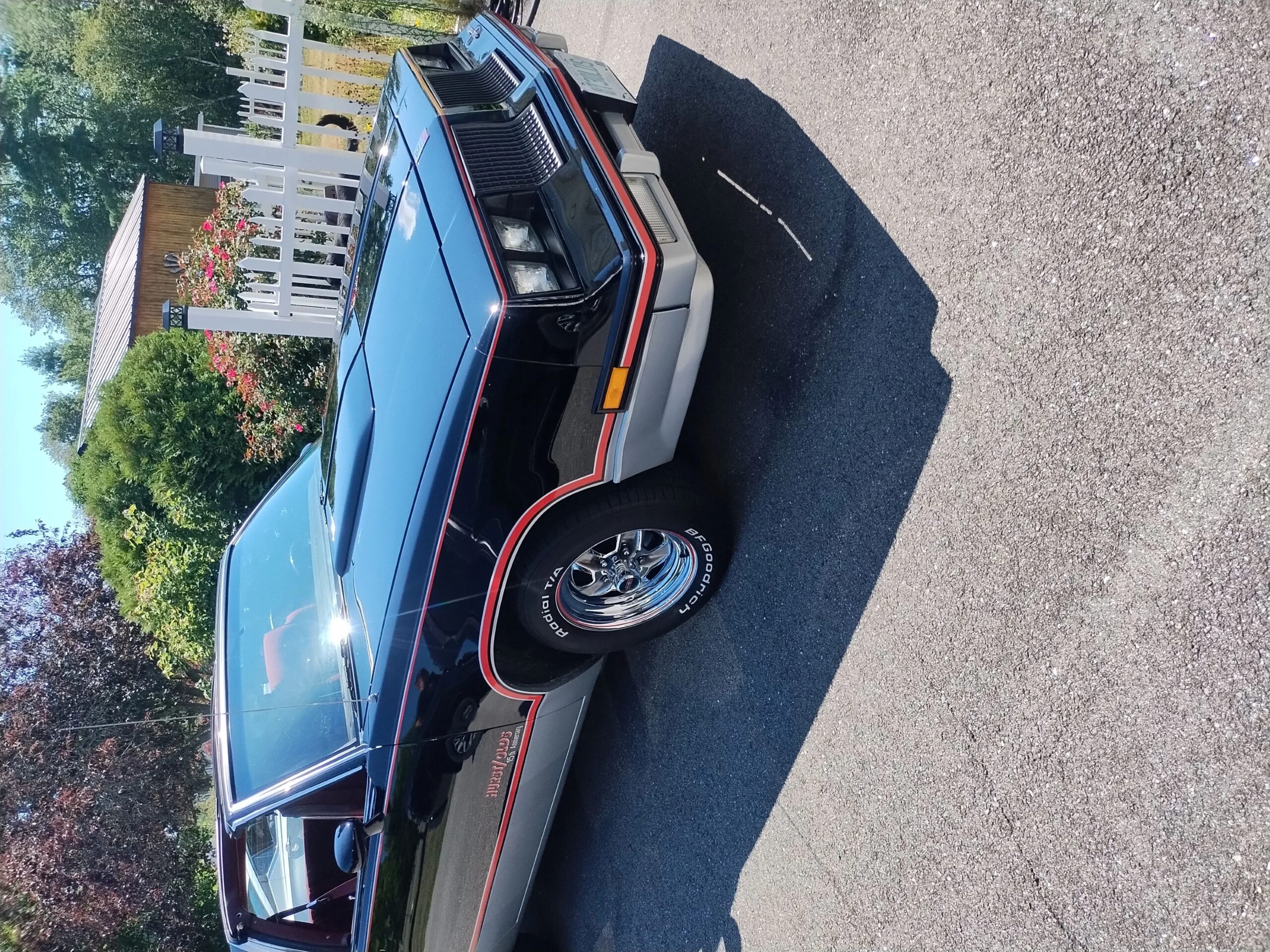 Oldsmobile-Cutlass-supreme-hurstolds-coupe-1983-Black-Red-7