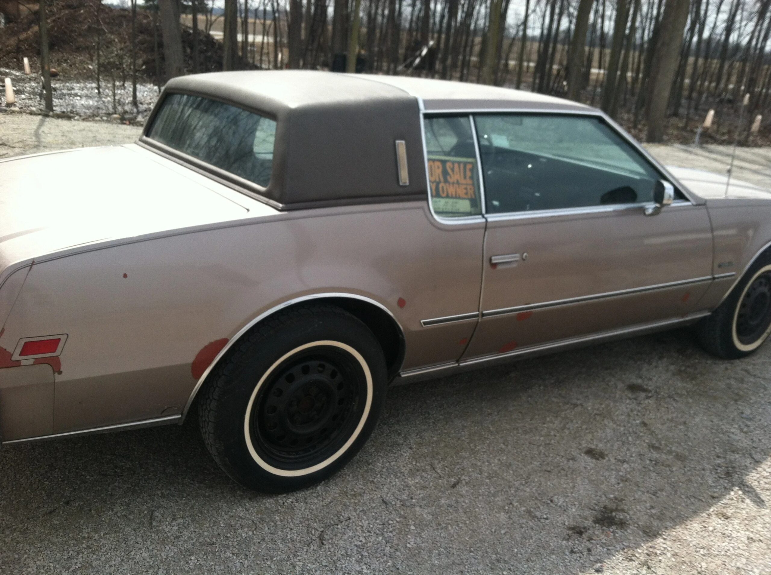 Oldsmobile-Toronado-brougham-1984-Beige-Brown-9