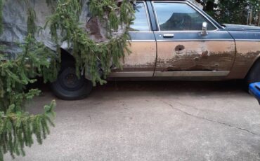 Oldsmobile-custom-cruiser-1986-blue-5