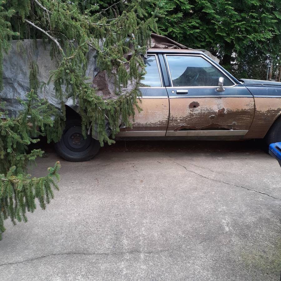 Oldsmobile-custom-cruiser-1986-blue-5