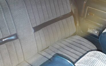 Oldsmobile-custom-cruiser-1986-blue-8