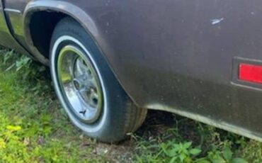 Oldsmobile-cutlass-1976-1