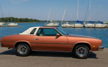 Oldsmobile-cutlass-1976-brown-1