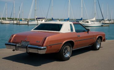 Oldsmobile-cutlass-1976-brown-2