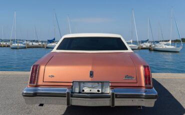 Oldsmobile-cutlass-1976-brown-3