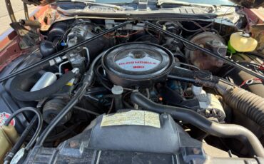 Oldsmobile-cutlass-1976-brown-8