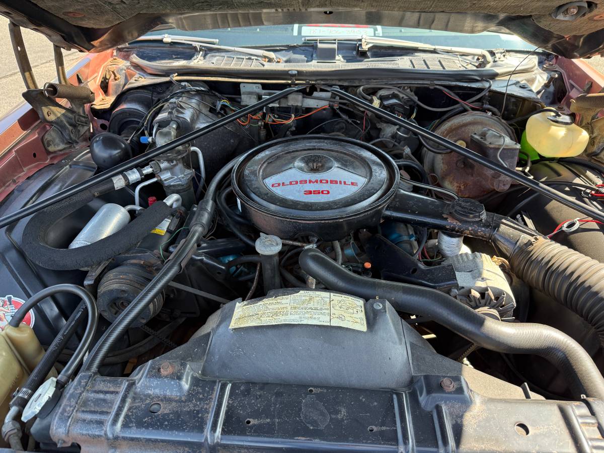 Oldsmobile-cutlass-1976-brown-8