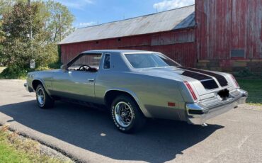 Oldsmobile-cutlass-1976-silver-4