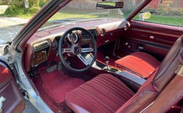 Oldsmobile-cutlass-1976-silver-9