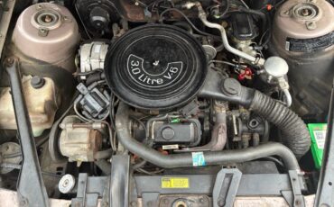 Oldsmobile-cutlass-1984-brown-3