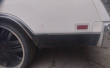 Oldsmobile-cutlass-442-1977-white-15