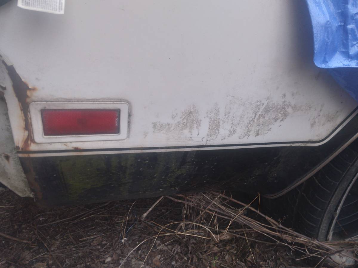 Oldsmobile-cutlass-442-1977-white-16