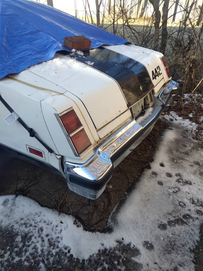 Oldsmobile-cutlass-442-1977-white-5