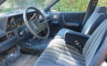 Oldsmobile-cutlass-cruiser-1989-white-8