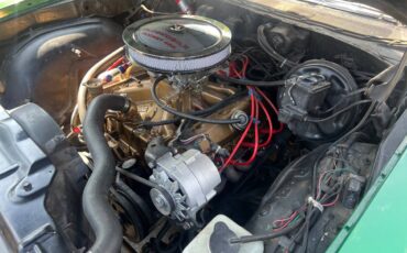 Oldsmobile-cutlass-diesel-1971-green-14