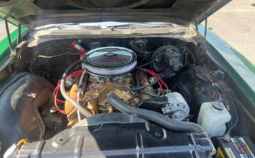 Oldsmobile-cutlass-diesel-1971-green-15