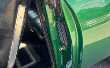 Oldsmobile-cutlass-diesel-1971-green-19