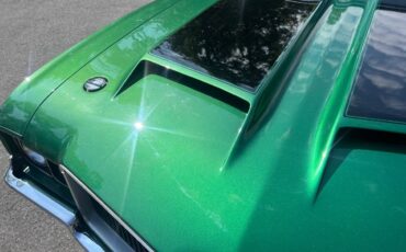 Oldsmobile-cutlass-diesel-1971-green-6