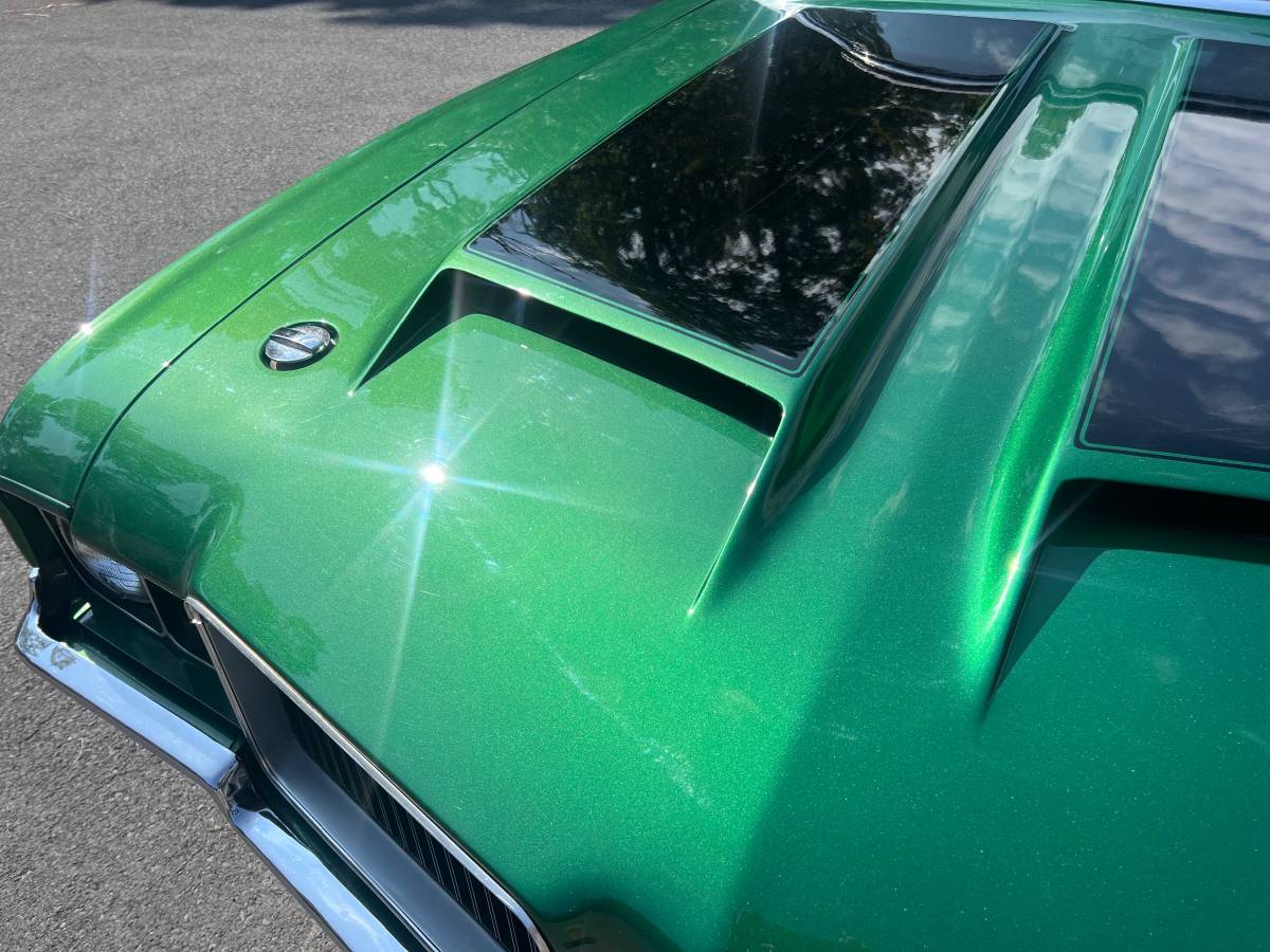 Oldsmobile-cutlass-diesel-1971-green-6