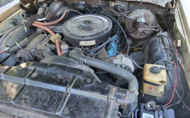 Oldsmobile-cutlass-supreme-1970-yellow-12