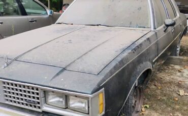 Oldsmobile-cutlass-supreme-1982-green-3