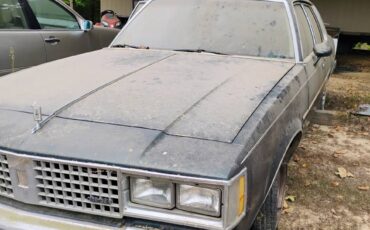 Oldsmobile-cutlass-supreme-1982-green-5