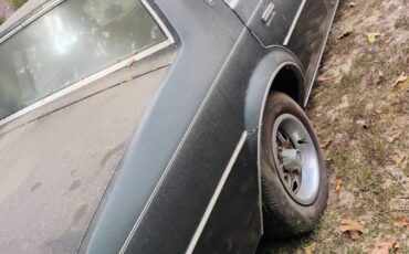 Oldsmobile-cutlass-supreme-1982-green-6