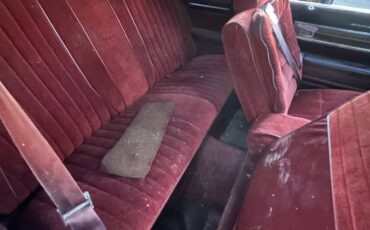 Oldsmobile-cutlass-supreme-1983-12