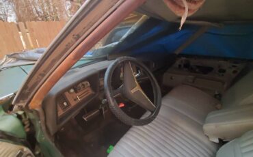 Oldsmobile-delta-88-1973-green-1