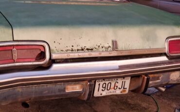 Oldsmobile-delta-88-1973-green-13