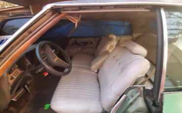 Oldsmobile-delta-88-1973-green
