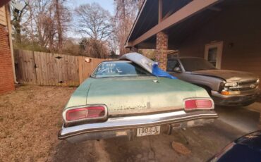 Oldsmobile-delta-88-1973-green-5