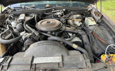 Oldsmobile-delta-88-1983-8