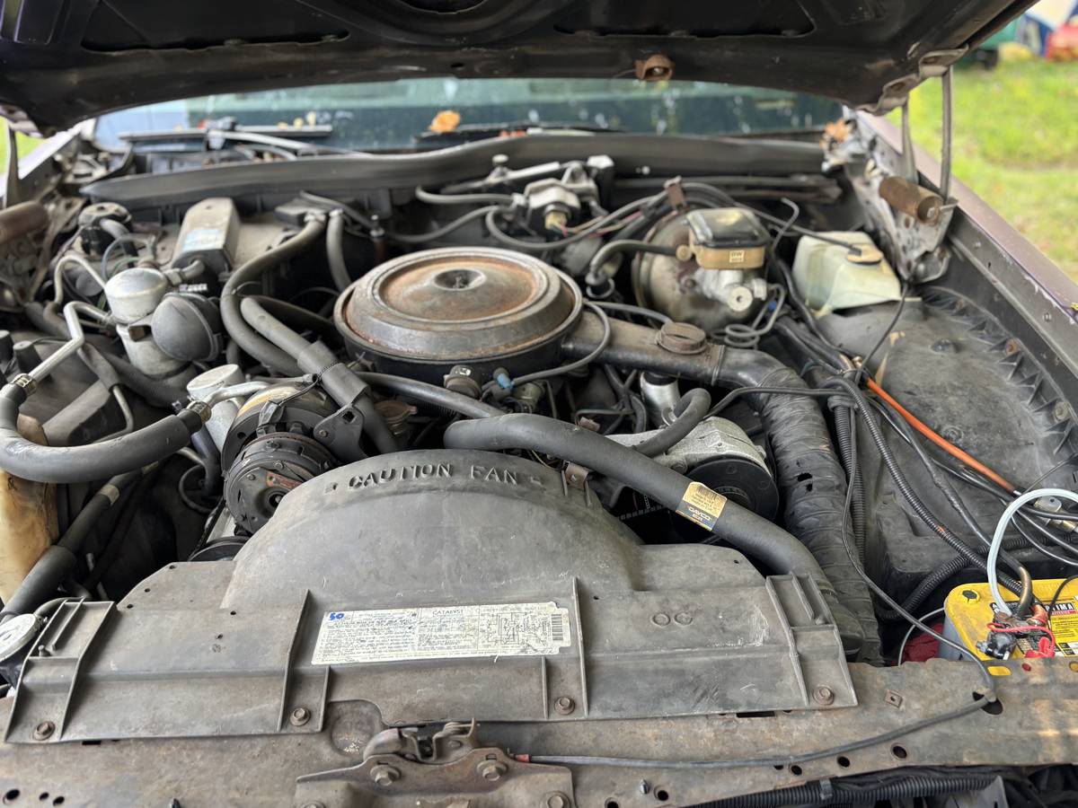Oldsmobile-delta-88-1983-8