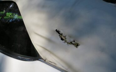 Oldsmobile-delta-88-royale-1973-white-12