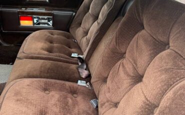 Oldsmobile-regency-1983-brown-2