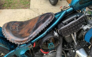 Other-Makes-80-cubic-inch-EVO-Harley-Motor-1981-3