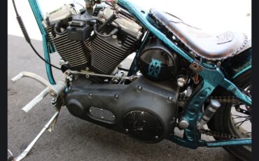 Other-Makes-80-cubic-inch-EVO-Harley-Motor-1981-5