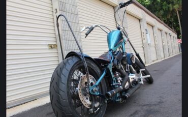 Other-Makes-80-cubic-inch-EVO-Harley-Motor-1981-7