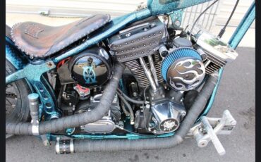 Other-Makes-80-cubic-inch-EVO-Harley-Motor-1981-8