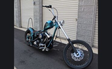 Other-Makes-80-cubic-inch-EVO-Harley-Motor-1981-9