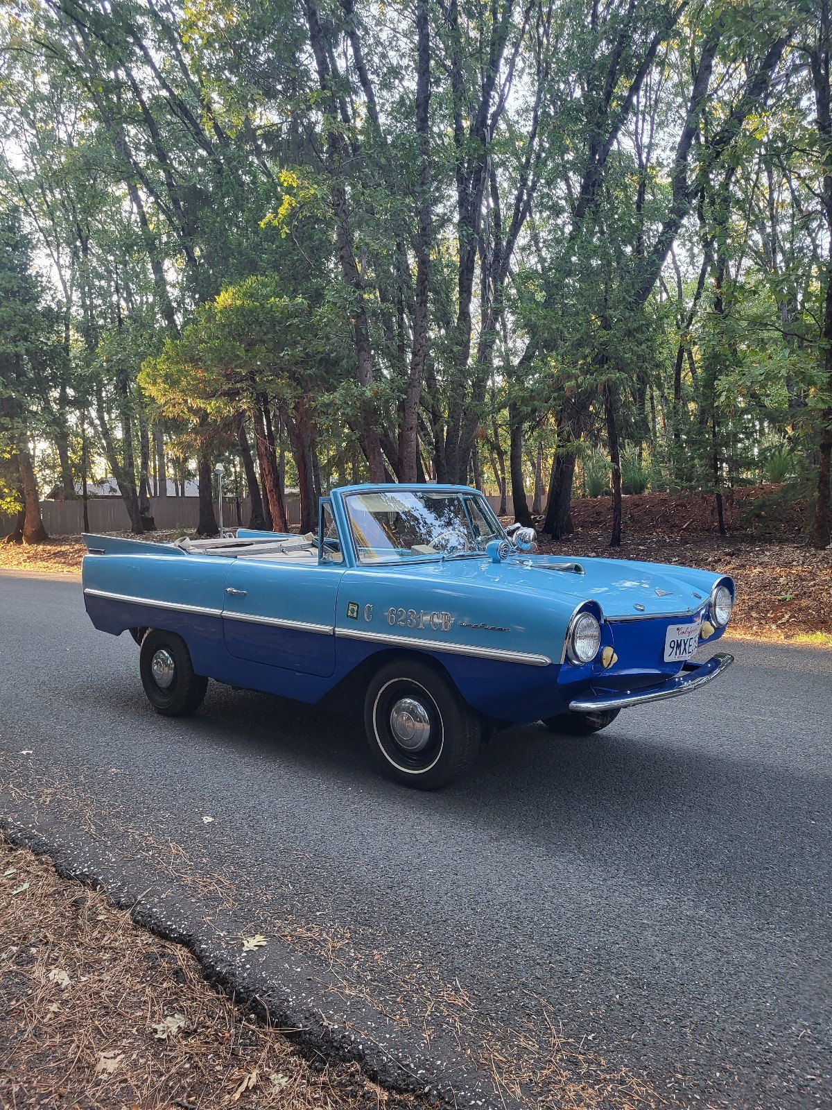Other-Makes-Amphicar-770-1962-1