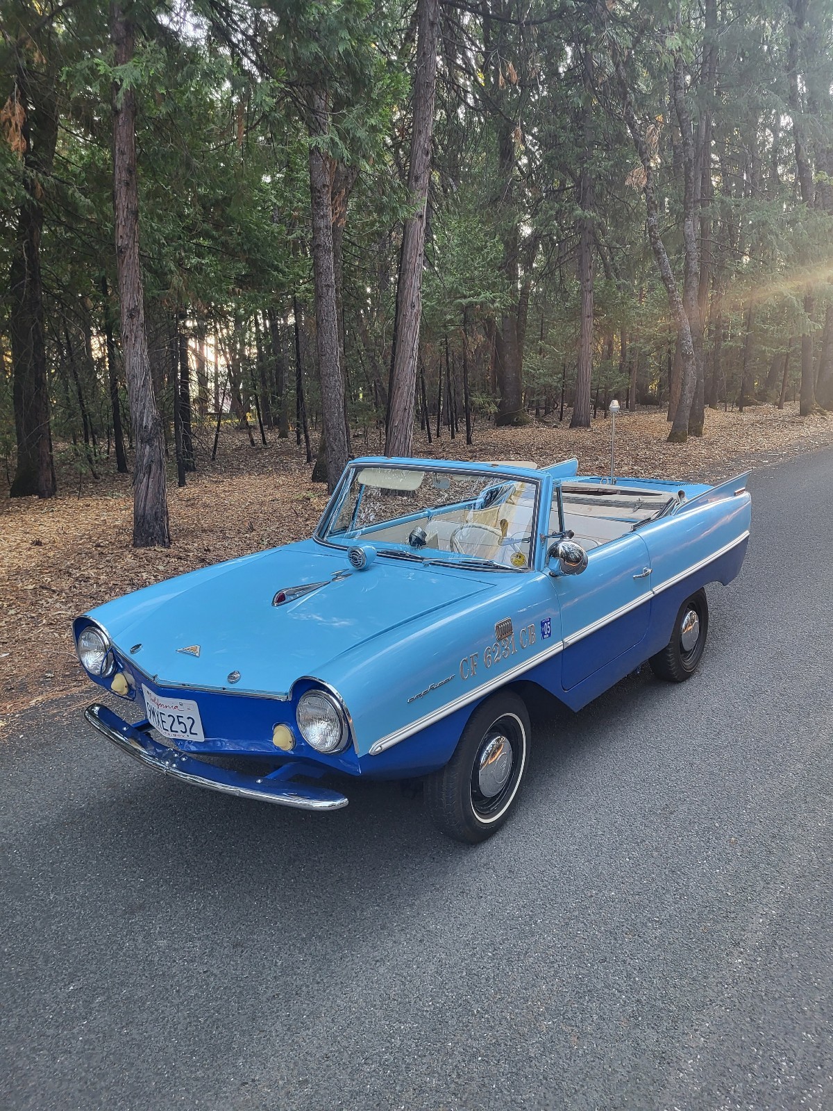 Other-Makes-Amphicar-770-1962-11
