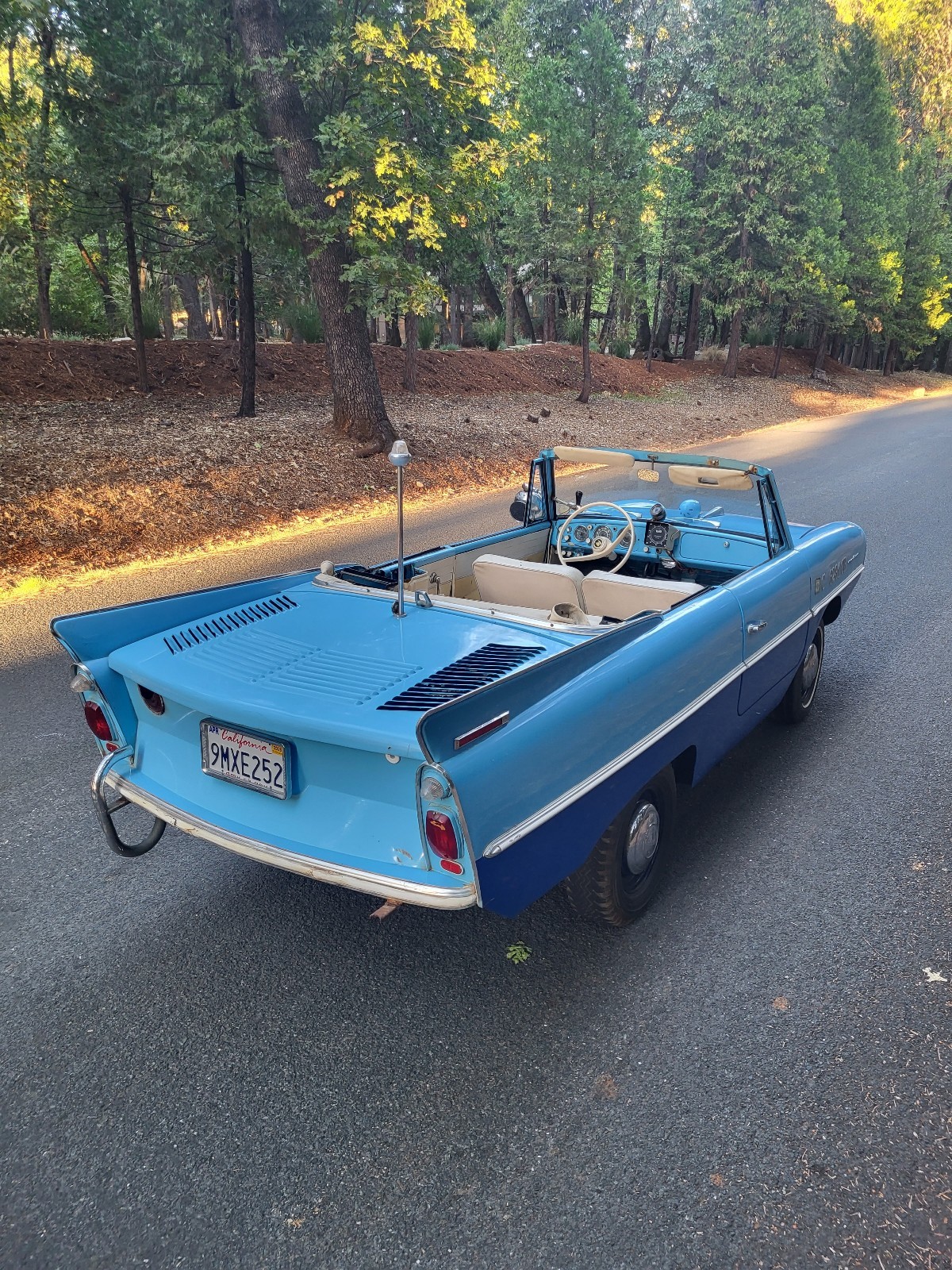 Other-Makes-Amphicar-770-1962-13