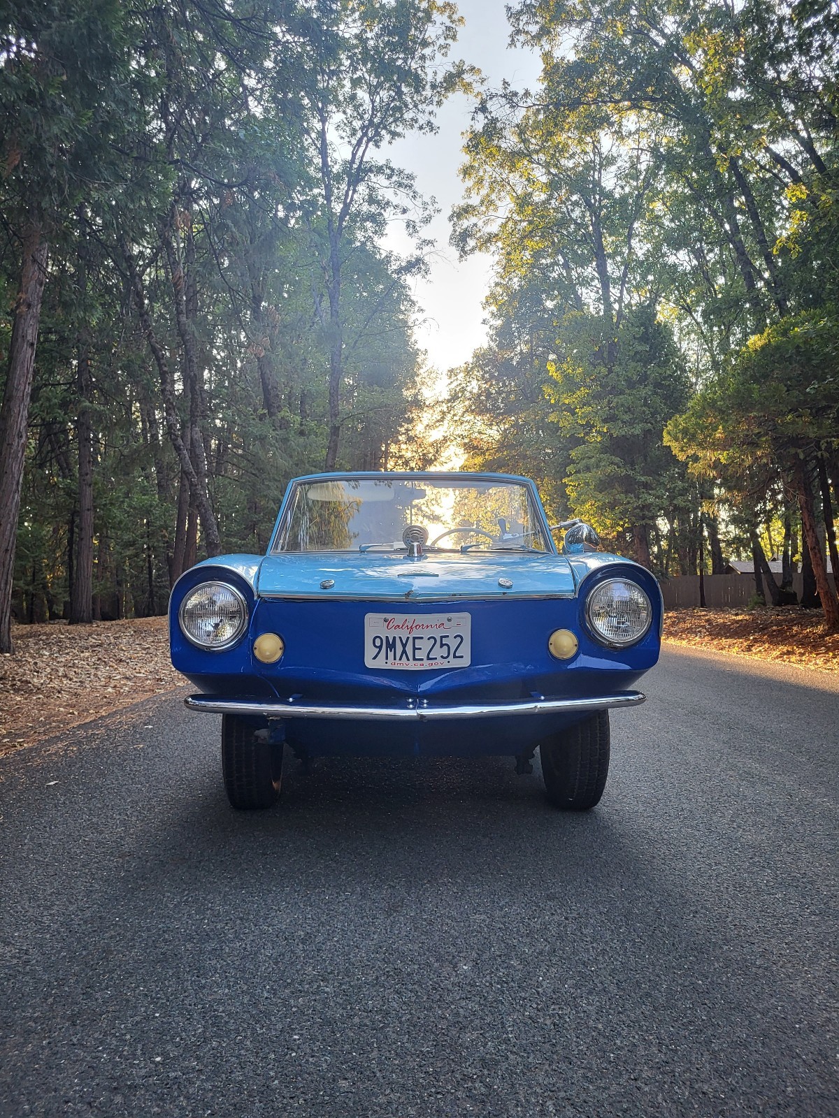 Other-Makes-Amphicar-770-1962-2