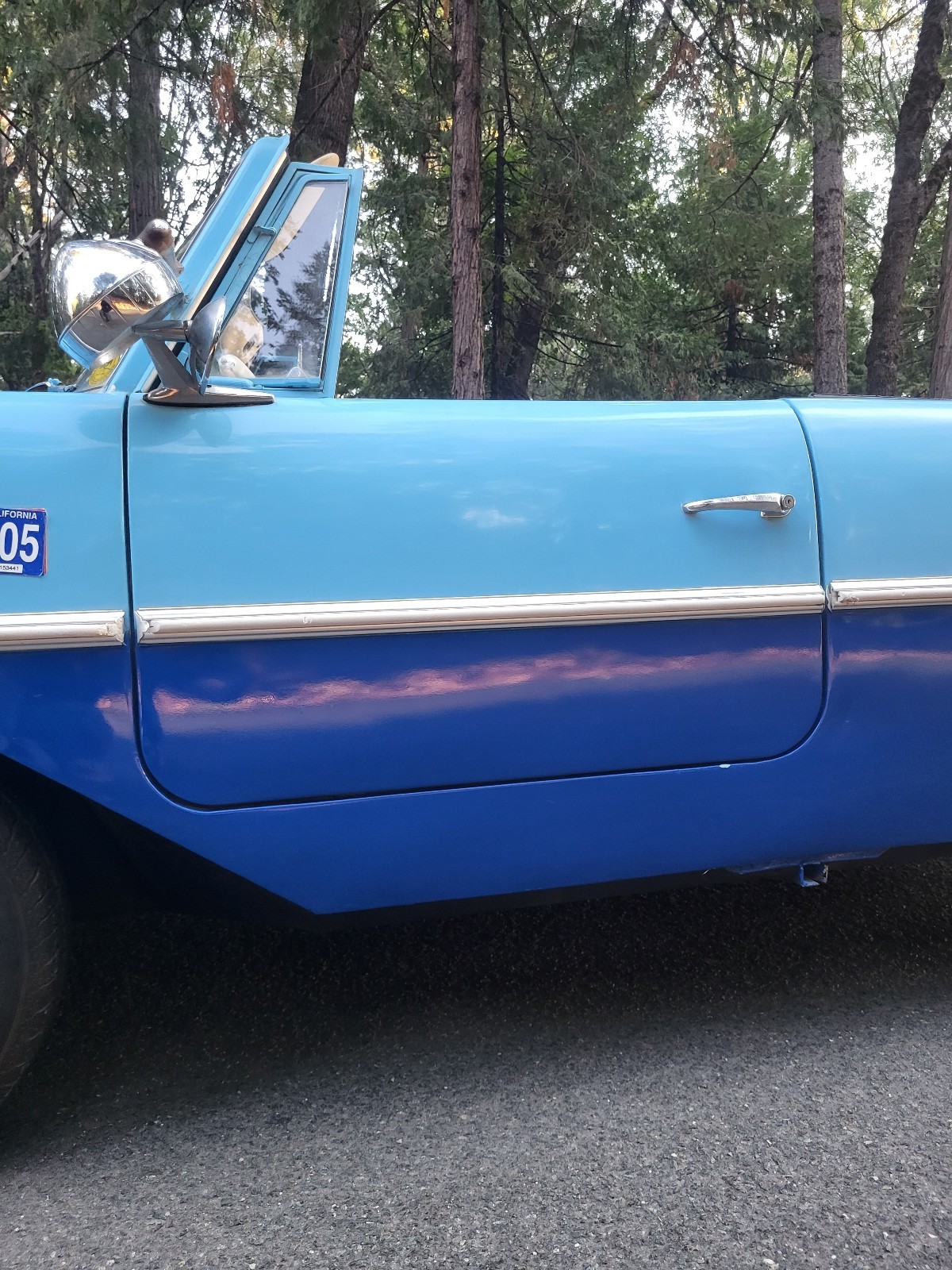 Other-Makes-Amphicar-770-1962-21