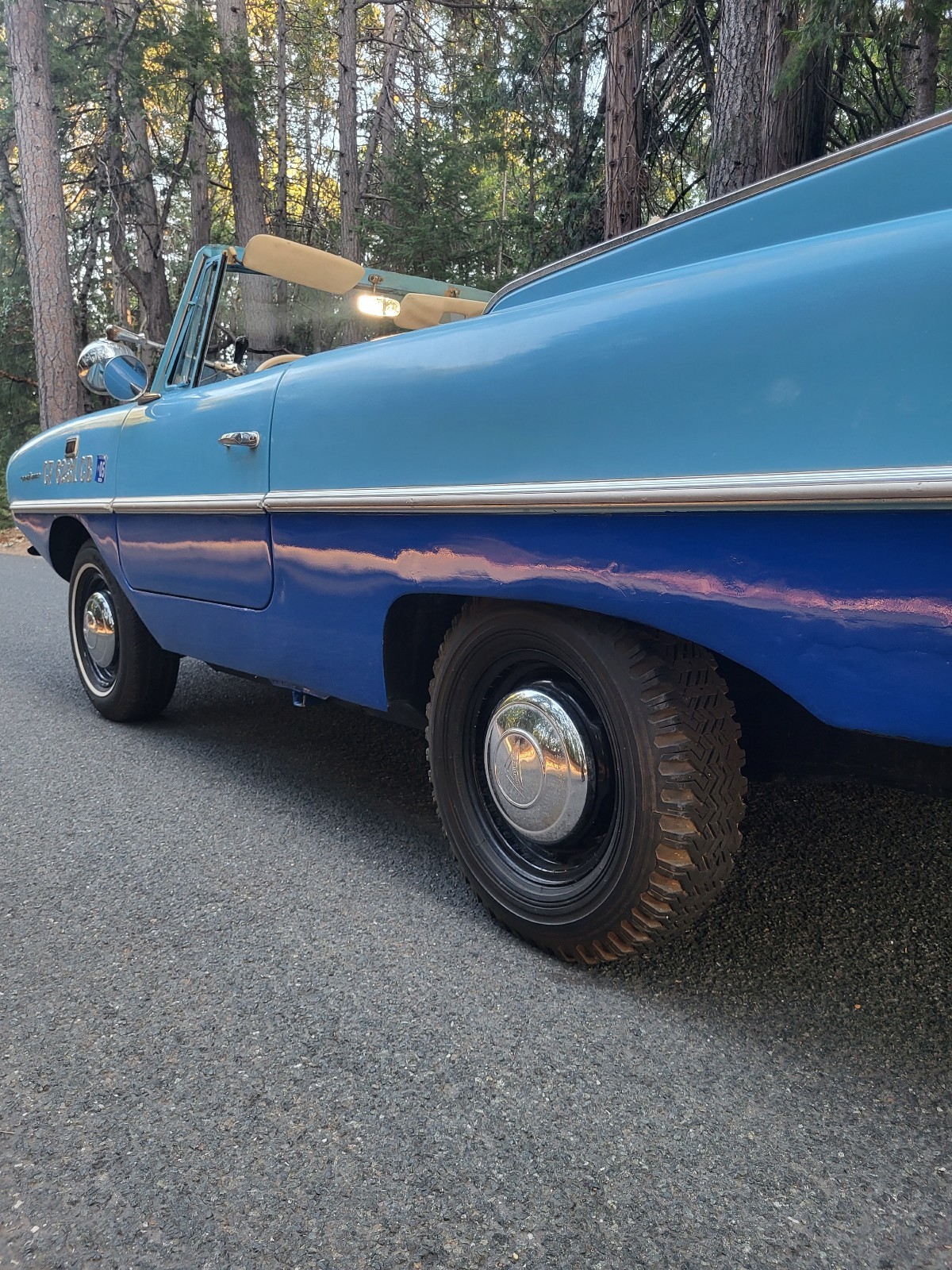 Other-Makes-Amphicar-770-1962-22