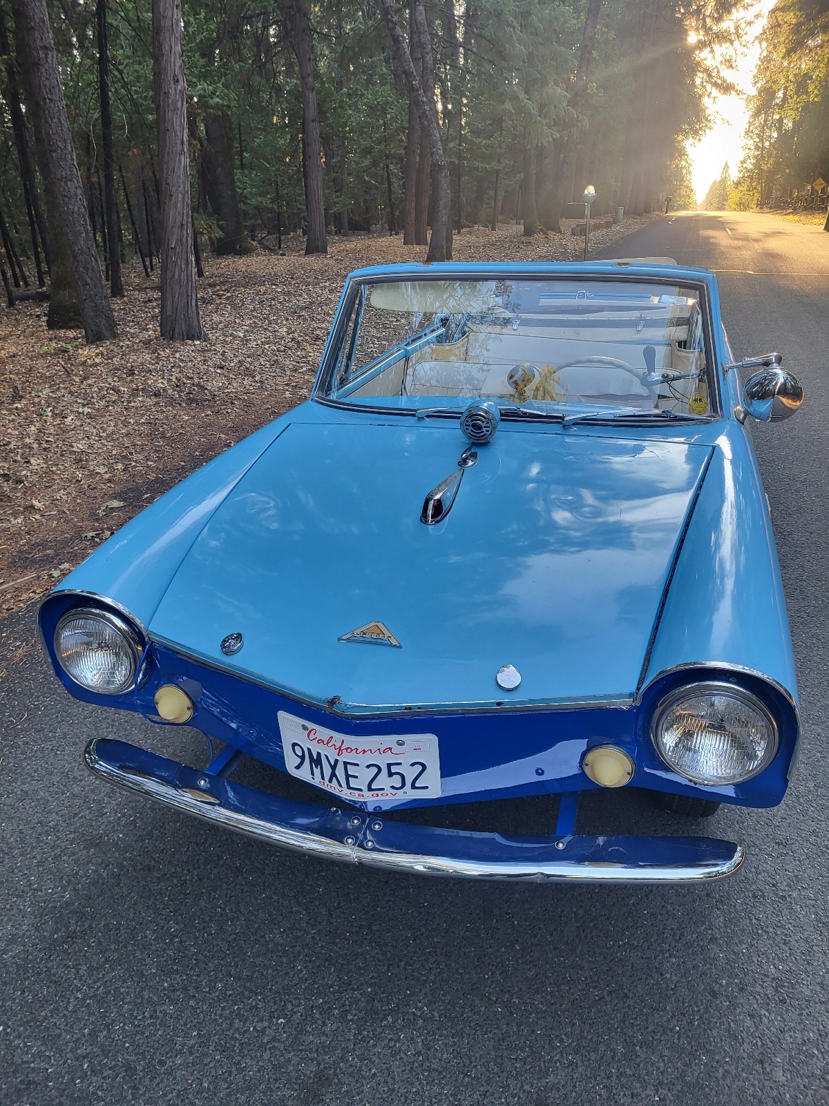 Other-Makes-Amphicar-770-1962-23